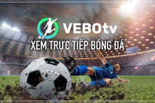 Vebotv - Những điều cần biết khi tham gia chơi cá cược