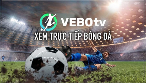 Vebotv - Những điều cần biết khi tham gia chơi cá cược