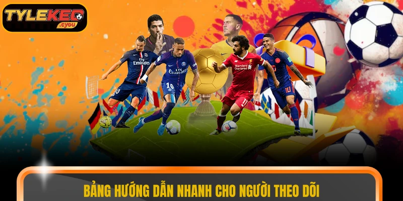 Bảng hướng dẫn nhanh cho người theo dõi