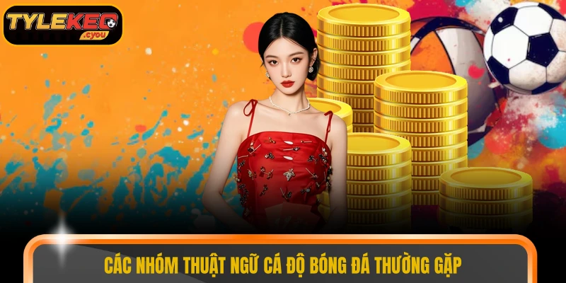 Các nhóm thuật ngữ cá độ bóng đá thường gặp