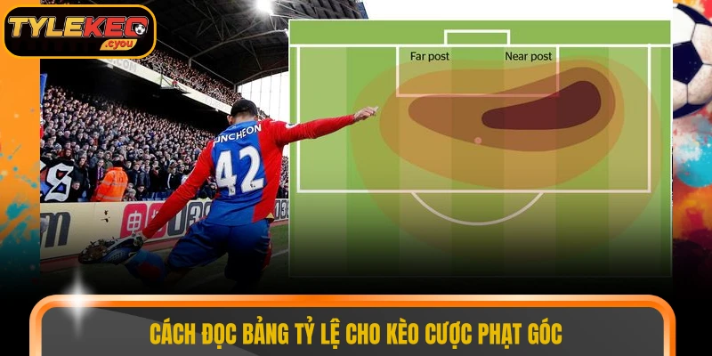 Cách đọc bảng tỷ lệ cho kèo cược phạt góc