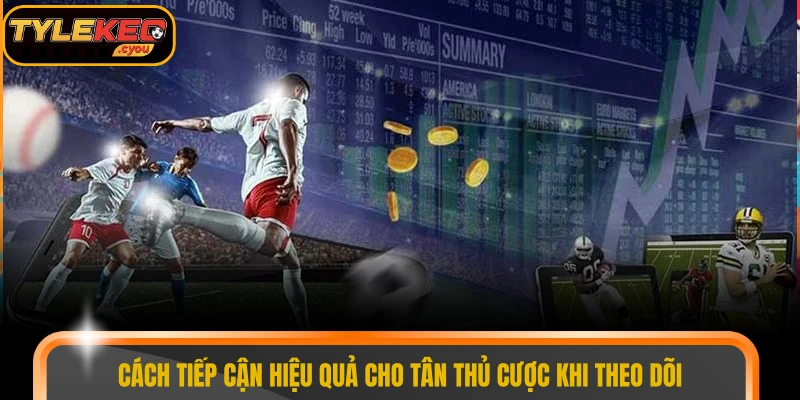 Cách tiếp cận hiệu quả cho tân thủ cược khi theo dõi