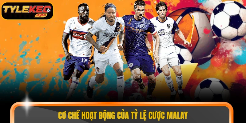 Cơ chế hoạt động của tỷ lệ cược Malay