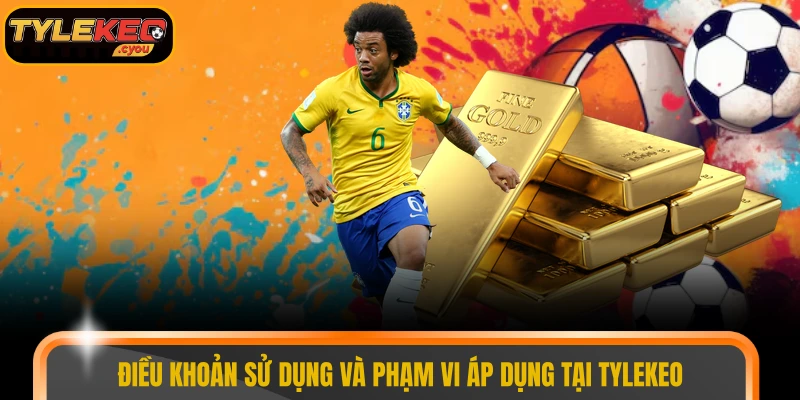 Điều khoản sử dụng và phạm vi áp dụng tại Tylekeo