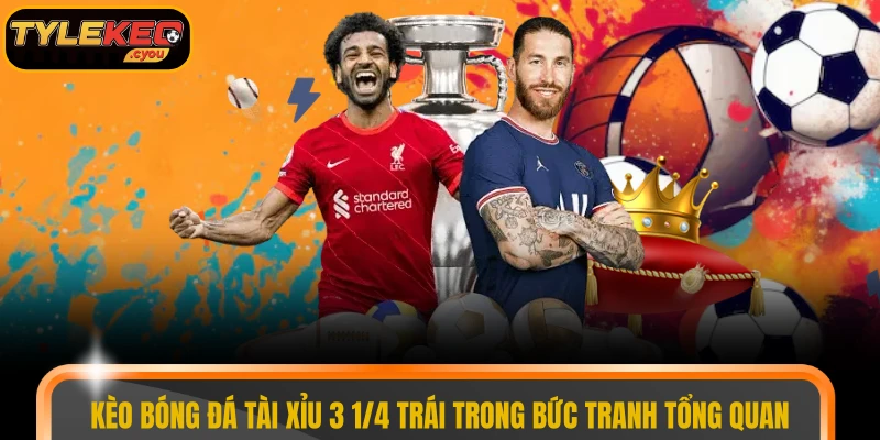 Kèo bóng đá tài xỉu 3 1/4 trái trong bức tranh tổng quan