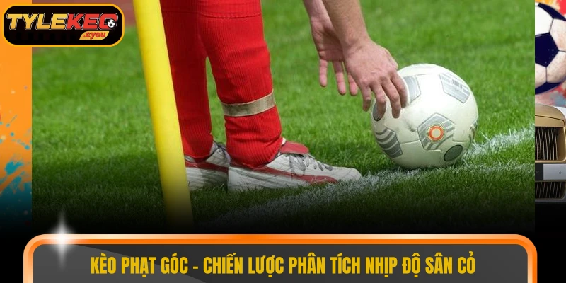 Kèo Phạt Góc – Chiến Lược Phân Tích Nhịp Độ Sân Cỏ