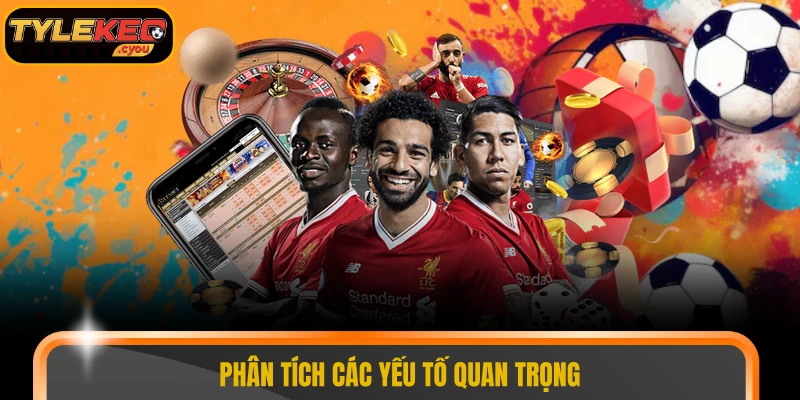 Phân tích các yếu tố quan trọng 