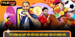 Tips bóng đá